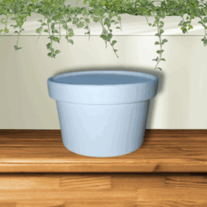 Round White Paper Food Container